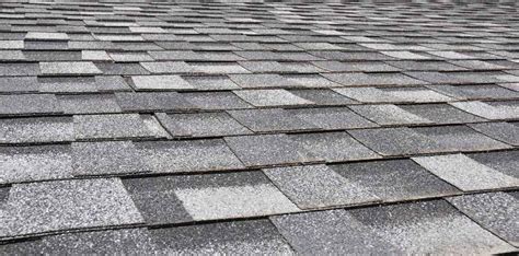 Asphalt shingle granular loss — a sign you need a new roof