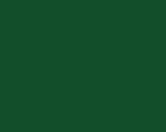 Evergreen color swatch—deep forest-green PVDF finish for standing-seam metal roofing.